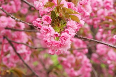 宁波宁海5线下个人借款平台一站式服务，轻松解决资金难题