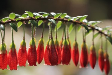 宁波宁海5零用贷短借：轻松解决临时资金需求