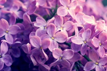 宁波宁海5企业急用钱贷款攻略：快速融资解燃眉之急